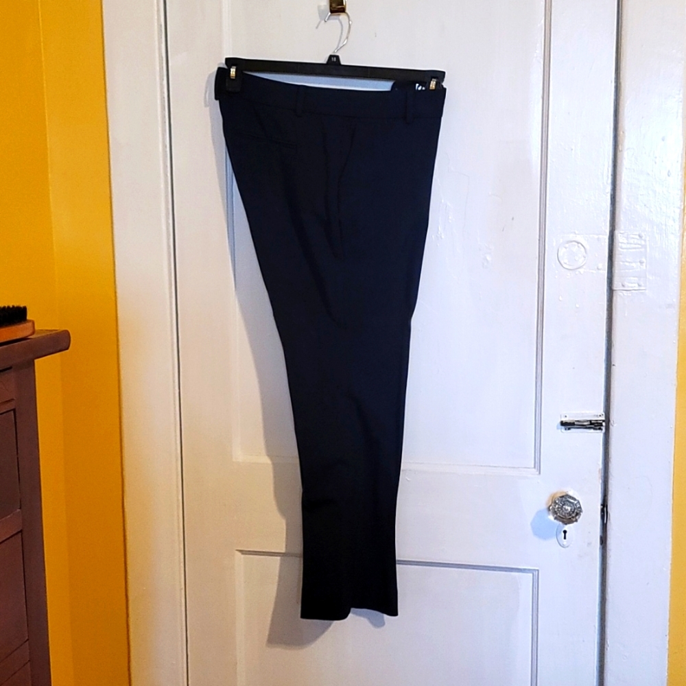 Ann Taylor navy pants